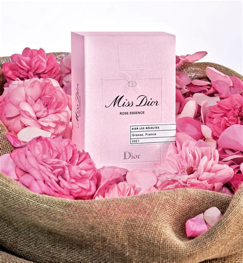 christian dior rose essence|Christian Dior rose jewelry.